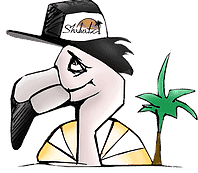 שלוותה בר - תל אביב