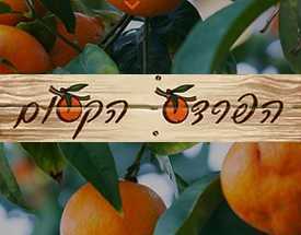 הפרדס הקסום - כפר מעש