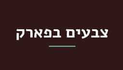 צבעים בפארק - כפר סבא