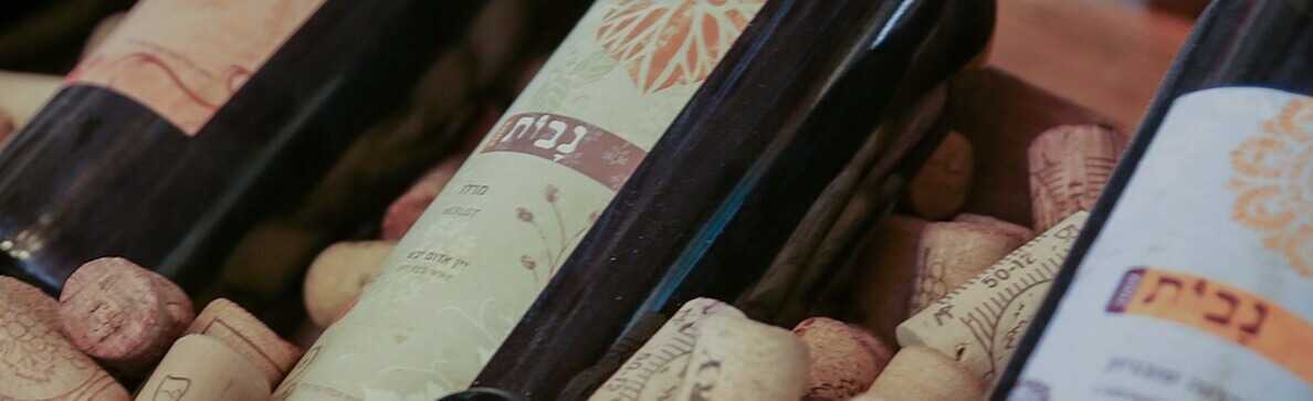 טעימות יין וארוחה ביקב נבות