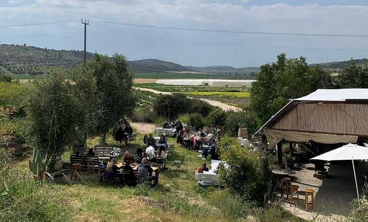 נפגשים בחמישי ביקב יפו