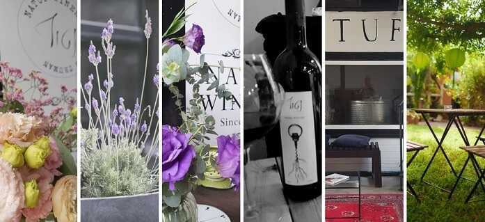 טעימות יין ביקב נטוף בימי שבת