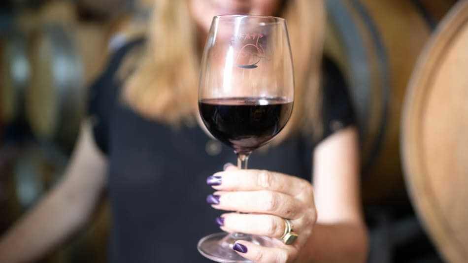 סיור וטעימות יין ביקב קדמא