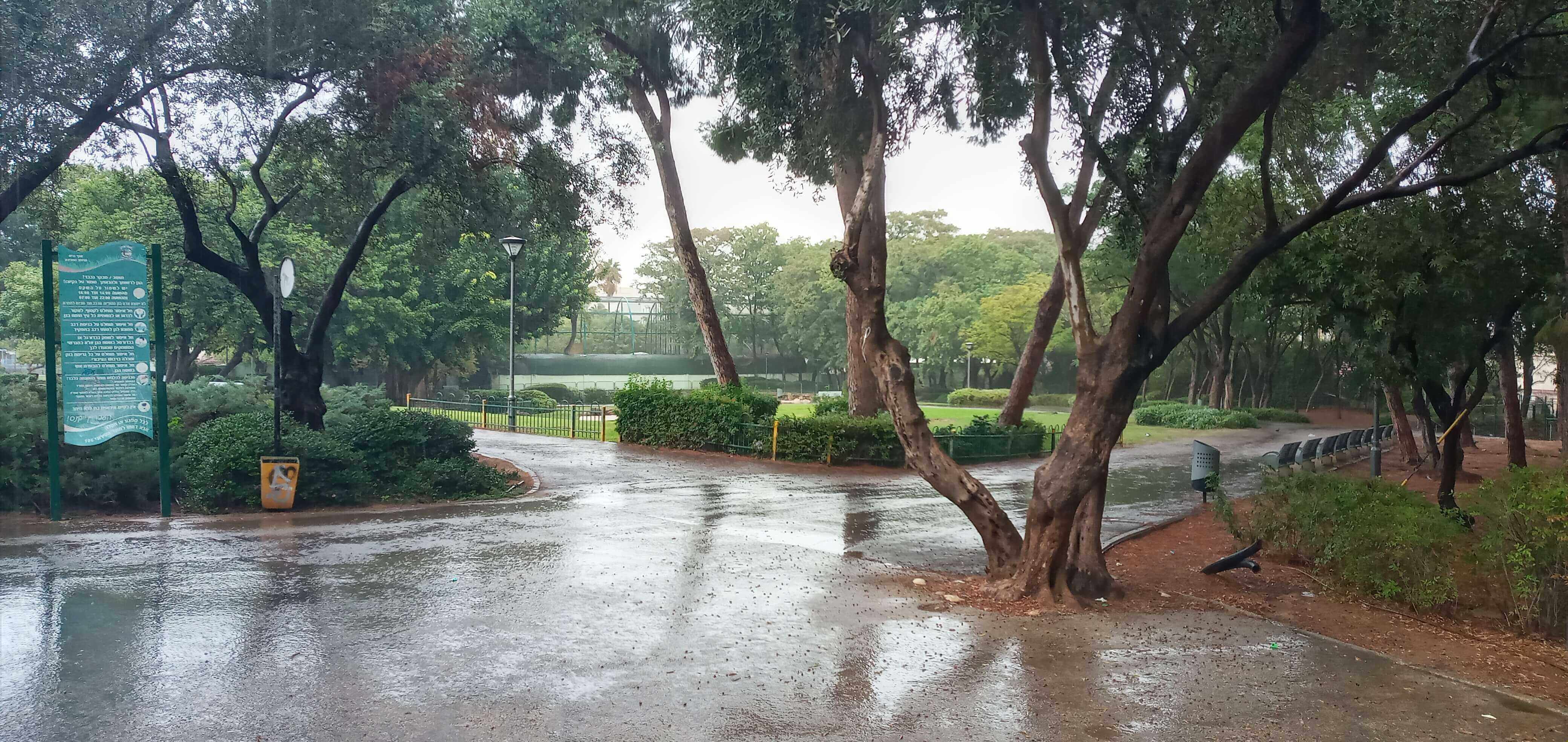 קהילת פתח תקווה - מה עושים היום בפתח תקווה