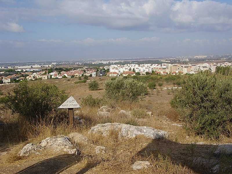 קהילת שוהם - מה עושים היום בשוהם