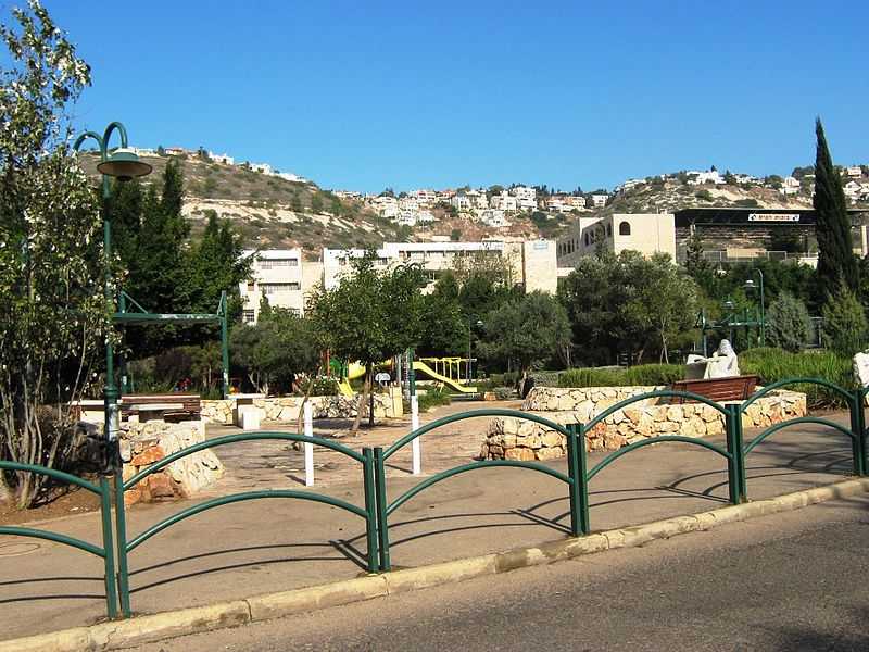 קהילת טירת כרמל - מה עושים היום בטירת כרמל