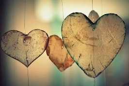 ט"ו באב 2022 – אתר מפגשים ובילויים